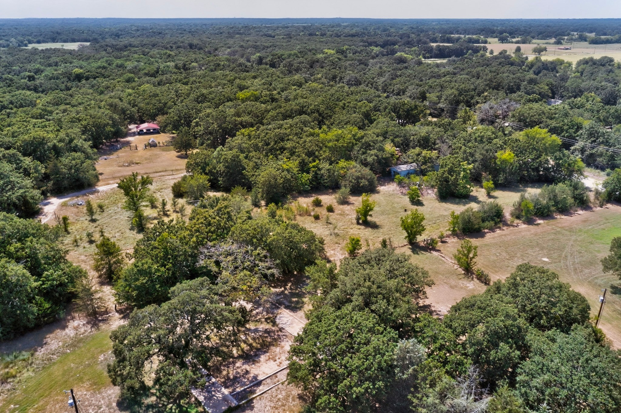 14266 Hickory Tree Lane