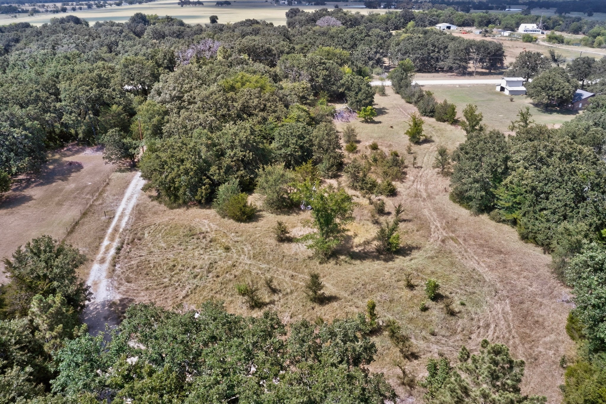 14266 Hickory Tree Lane