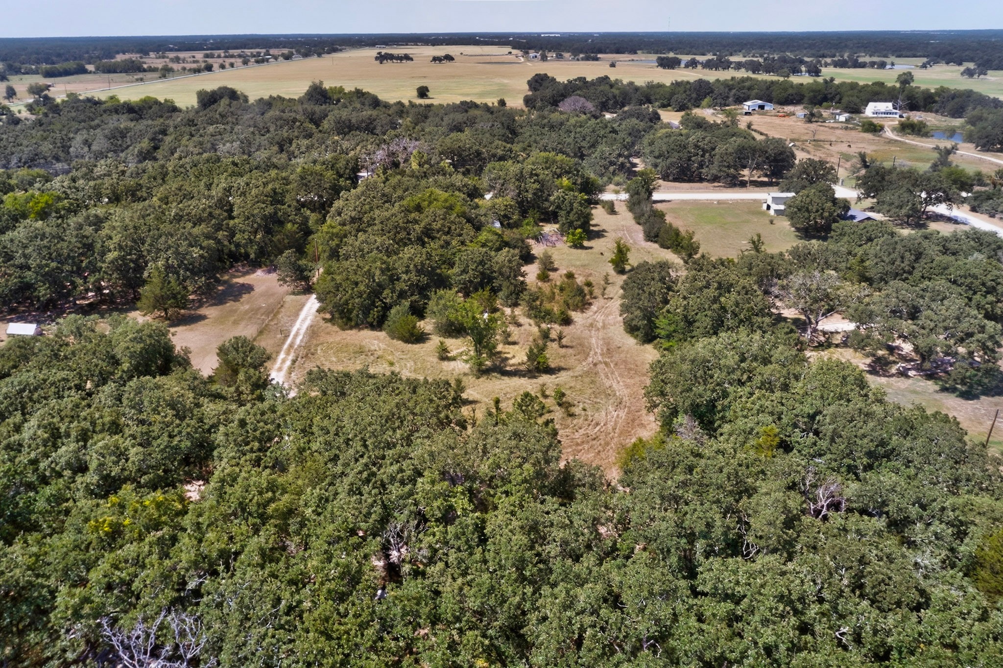14266 Hickory Tree Lane