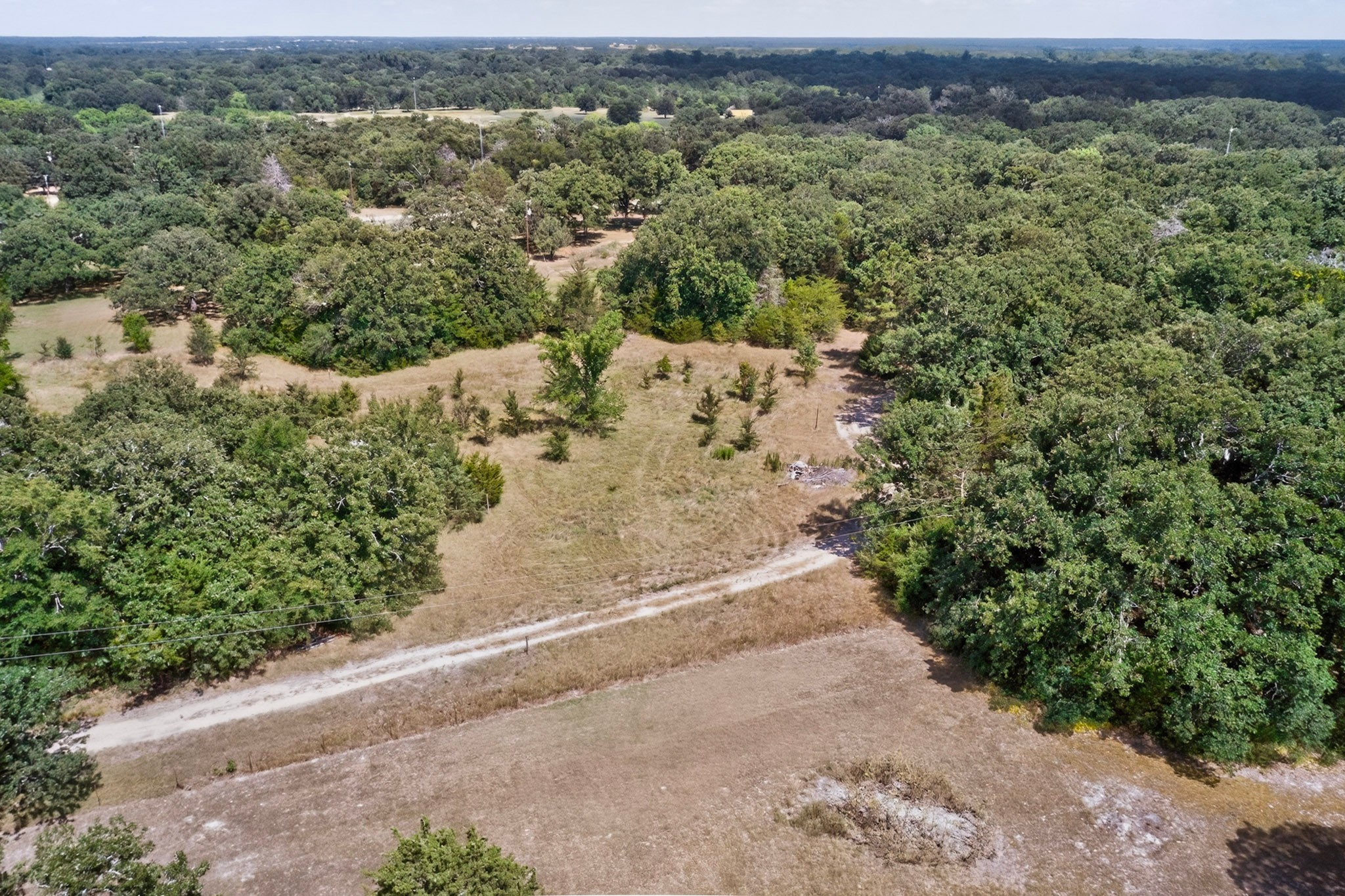 14266 Hickory Tree Lane