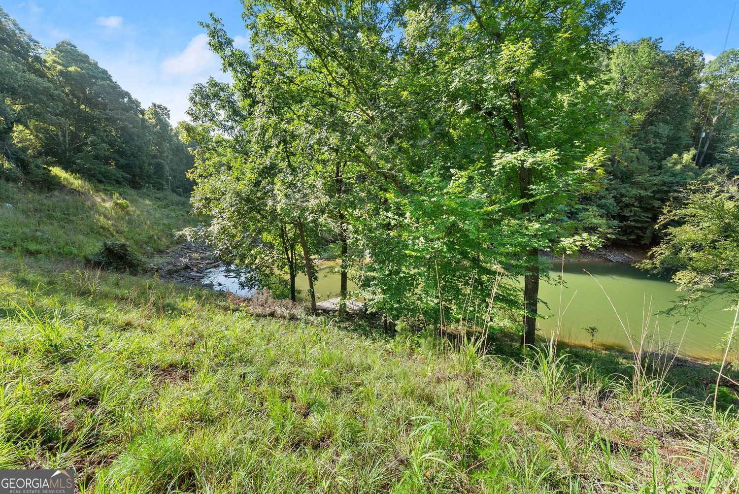 3199 Lotheridge Road