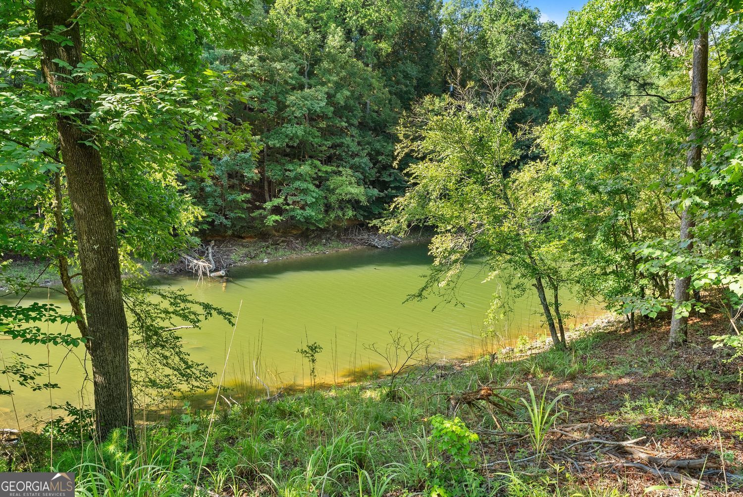 3199 Lotheridge Road