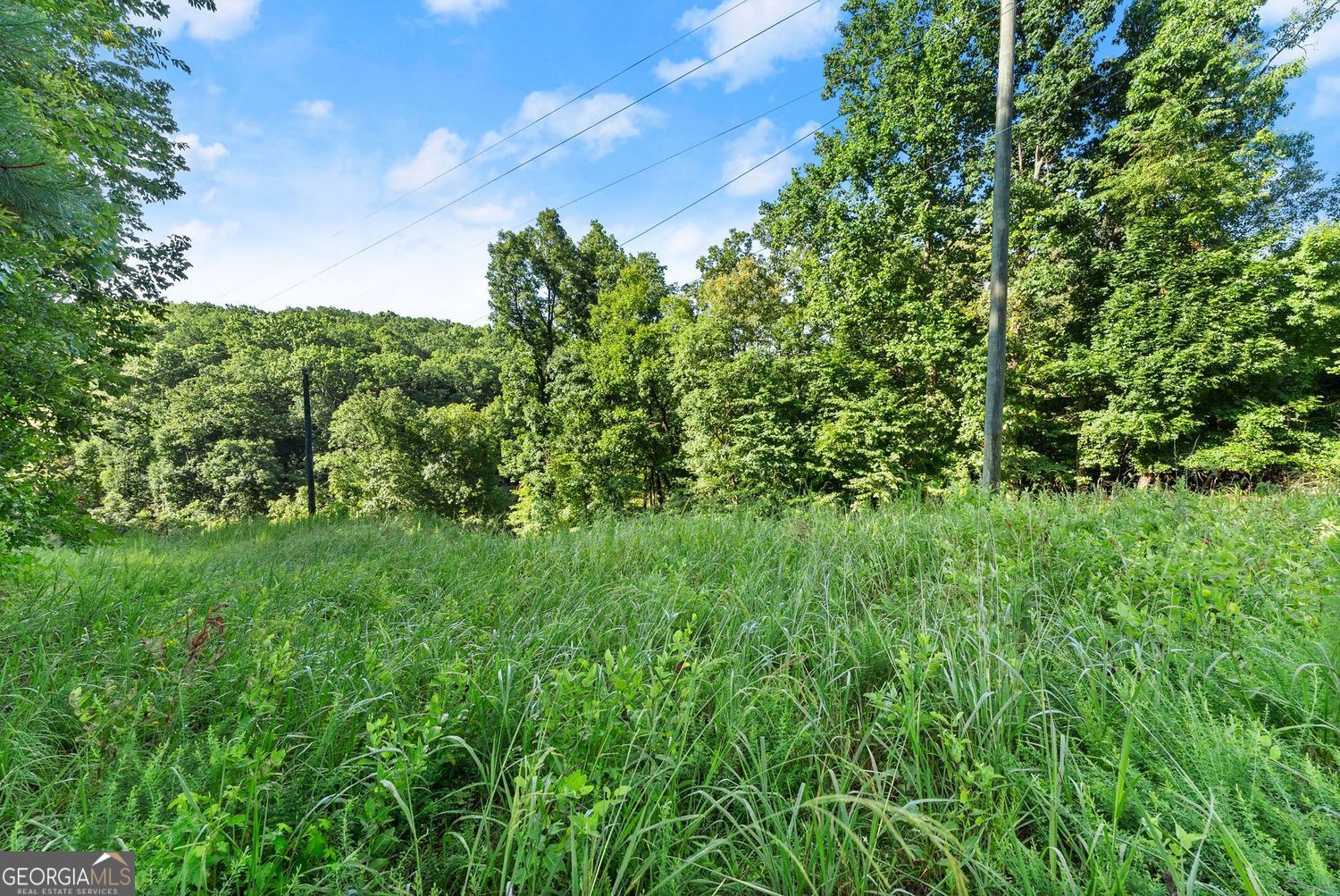 3199 Lotheridge Road