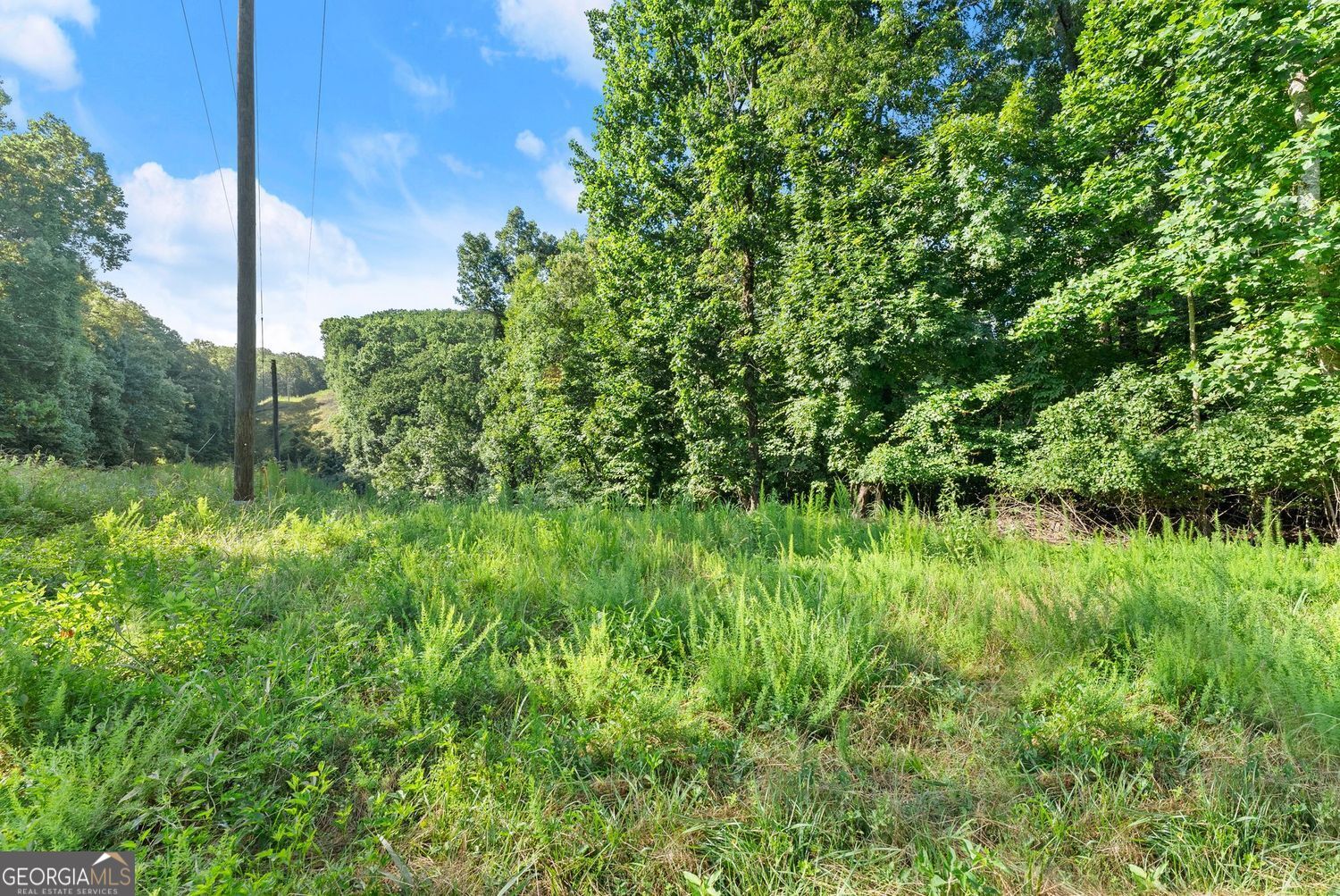 3199 Lotheridge Road