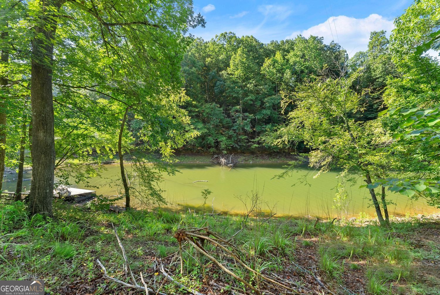 3199 Lotheridge Road