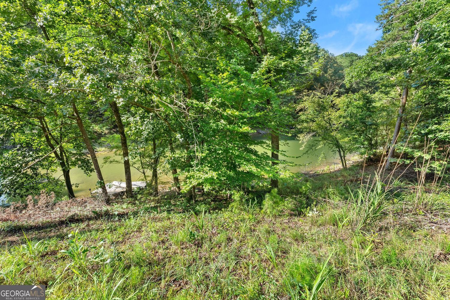 3199 Lotheridge Road