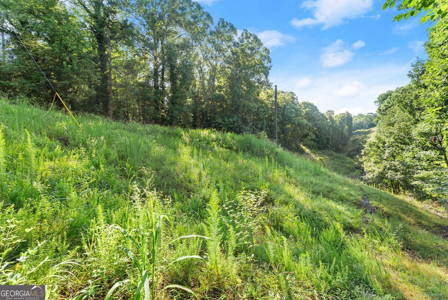 3199 Lotheridge Road