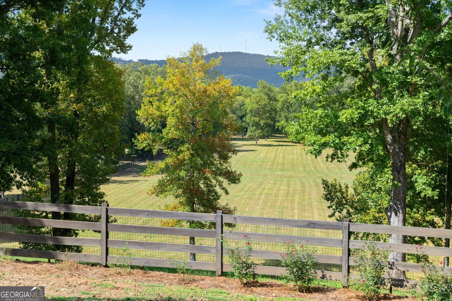 1524 Blacks Bluff Road SW