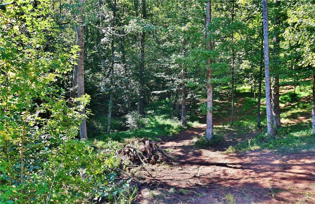 4543 Fawn Path