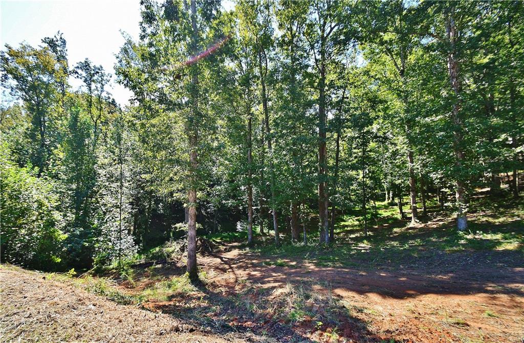 4543 Fawn Path