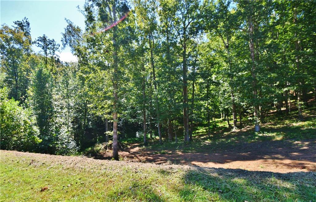 4543 Fawn Path