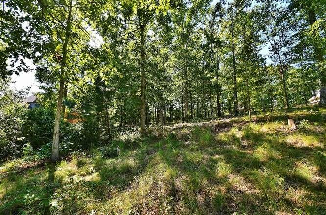 4563 Fawn Path