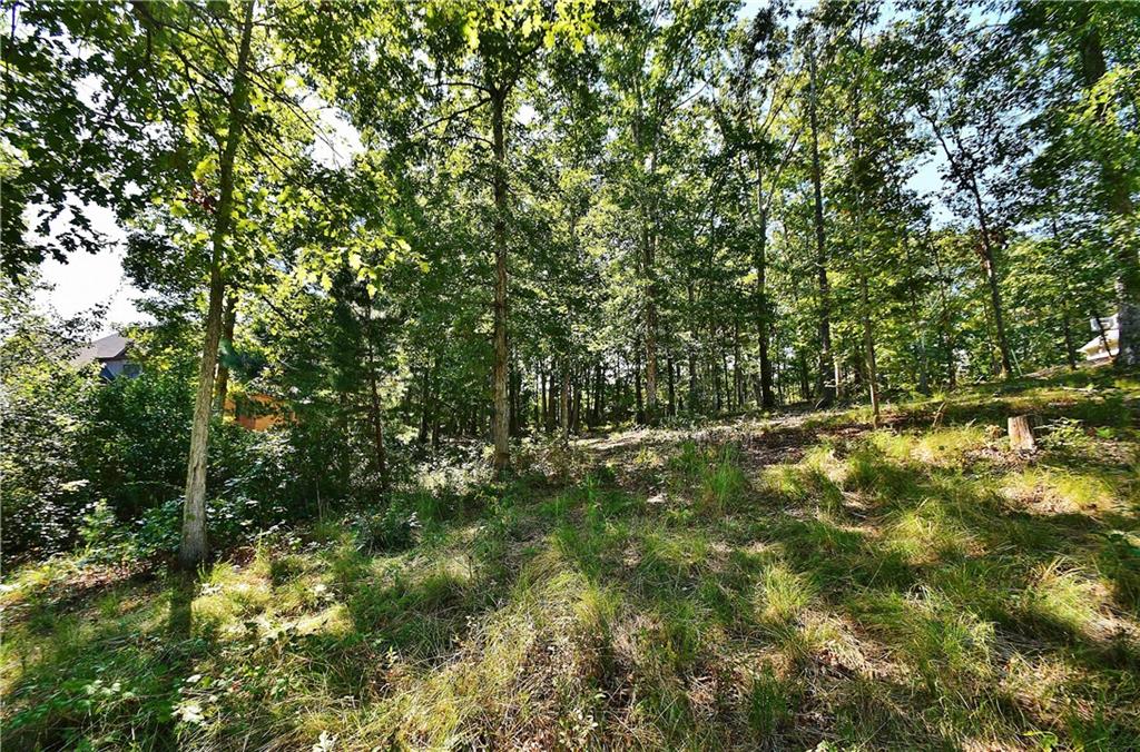 4563 Fawn Path