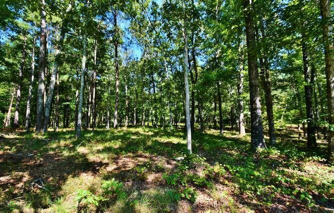 4546 Fawn Path