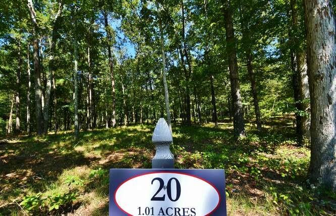 4546 Fawn Path