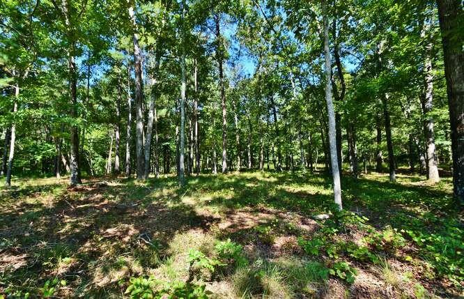 4546 Fawn Path