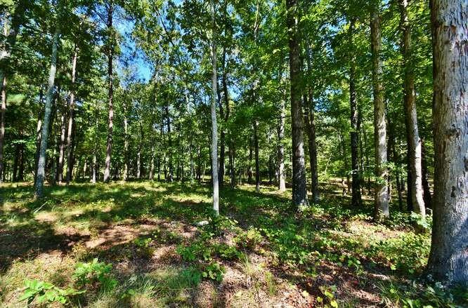 4546 Fawn Path