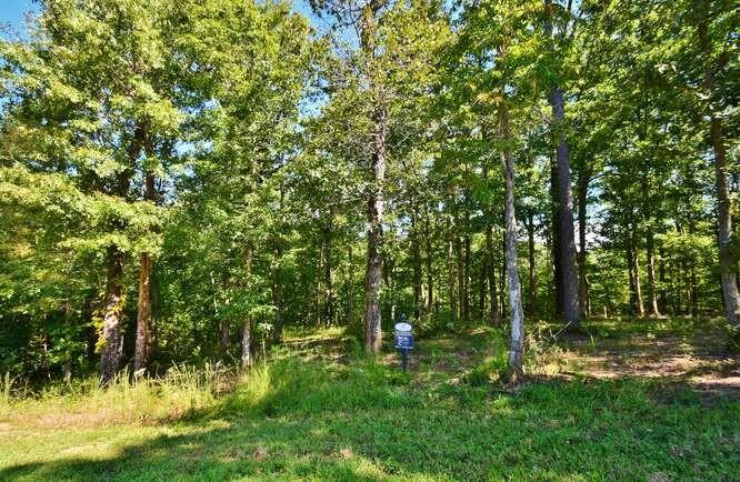 4536 Fawn Path