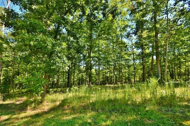 4530 Fawn Path