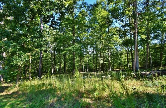 4530 Fawn Path