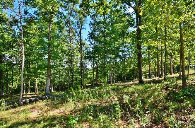 4530 Fawn Path