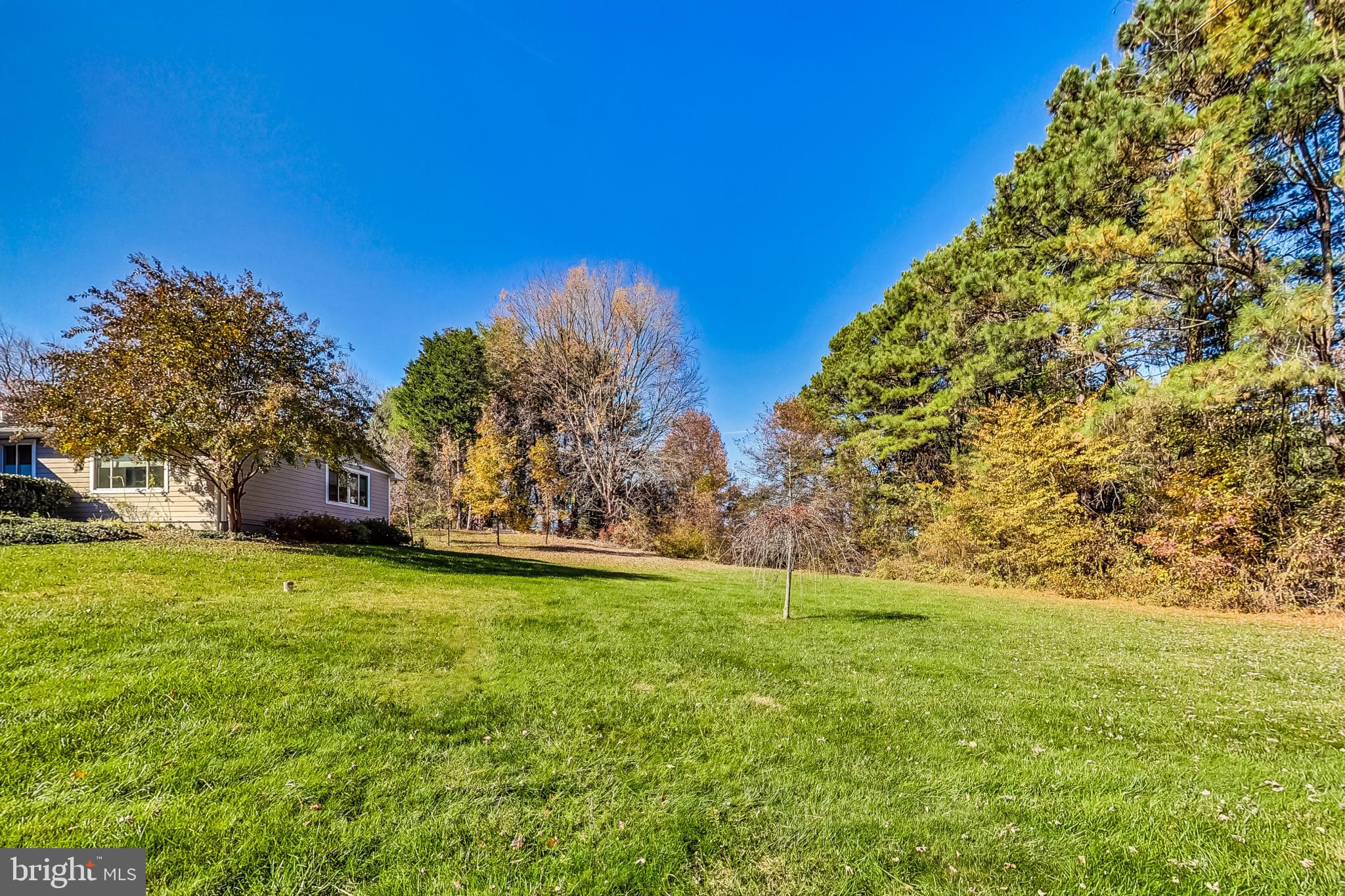 1645 ISABELLA COURT