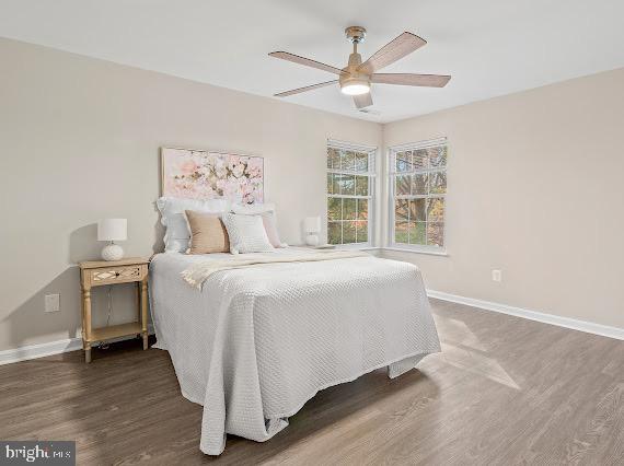 203 STAR POINTE COURT 2C