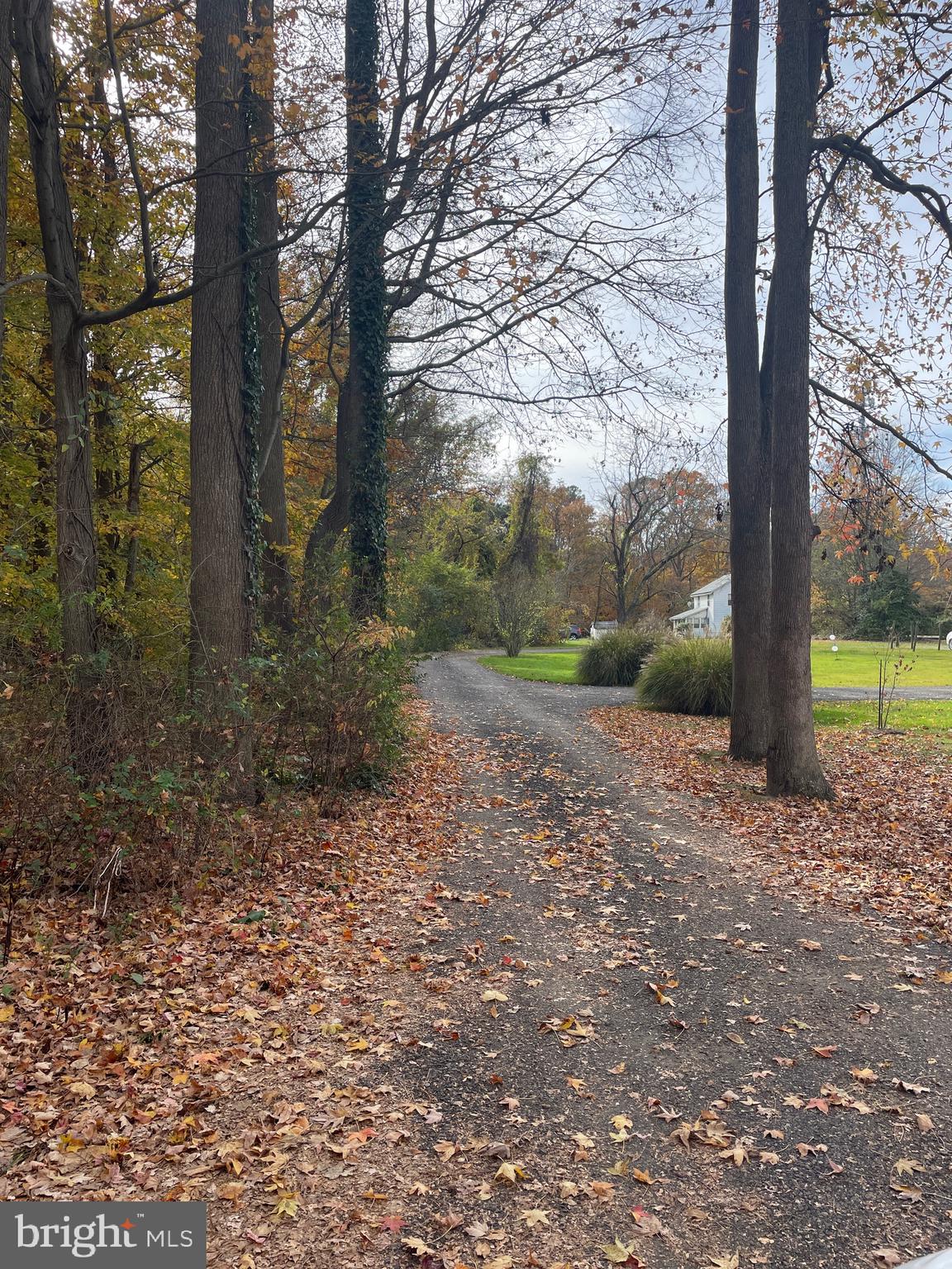 MAIN STREET