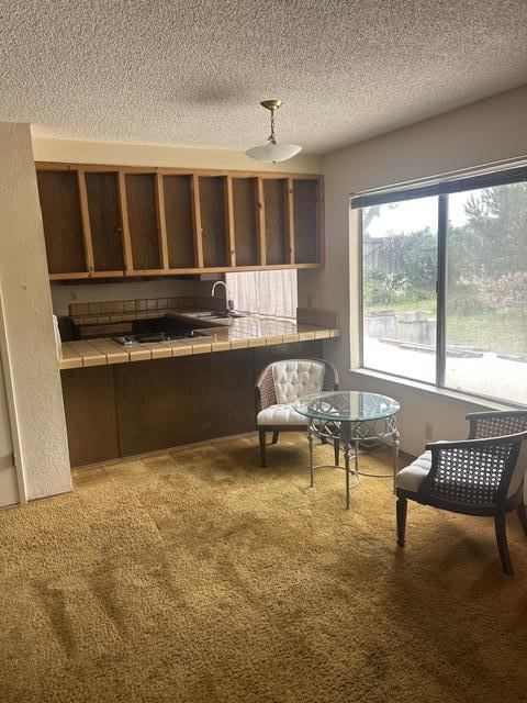 1171 Utopia Place