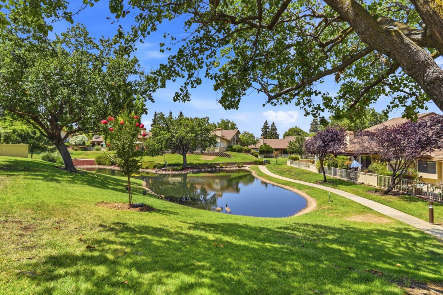 3364 Bolsena CT