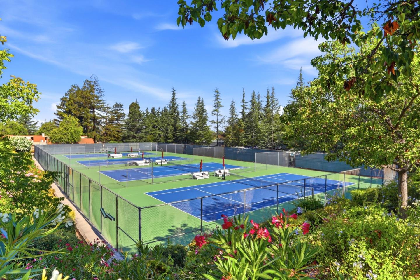 3364 Bolsena CT