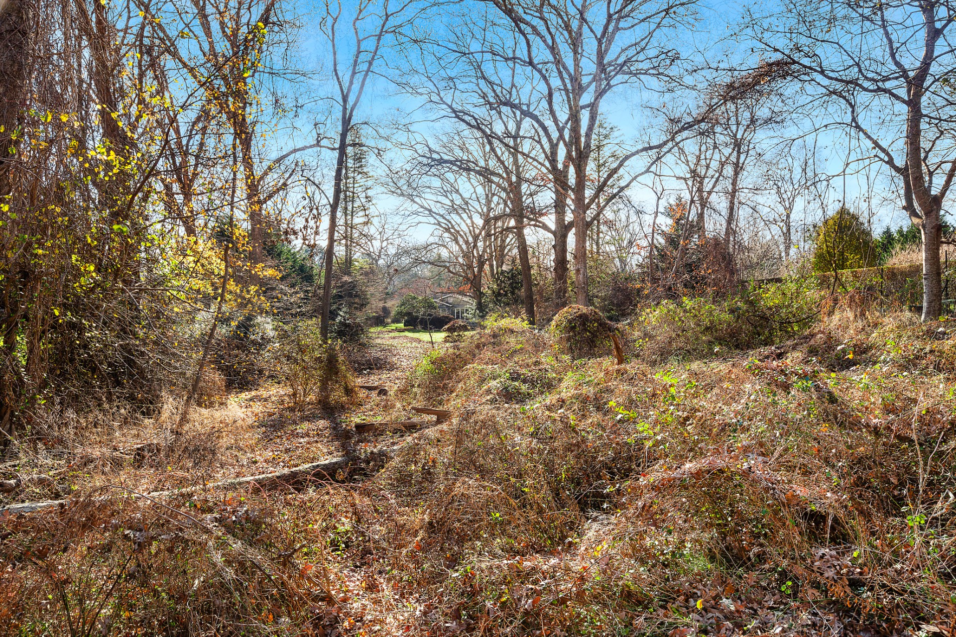 50 Buell Lane Extension