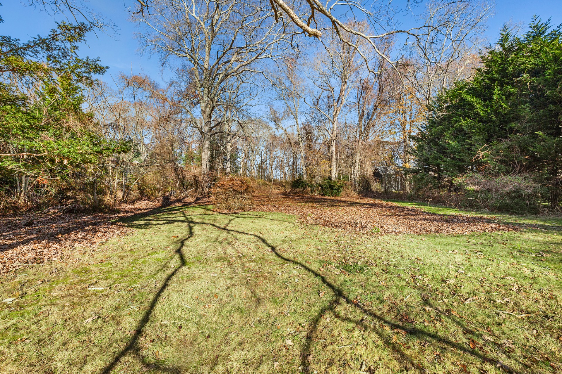 50 Buell Lane Extension