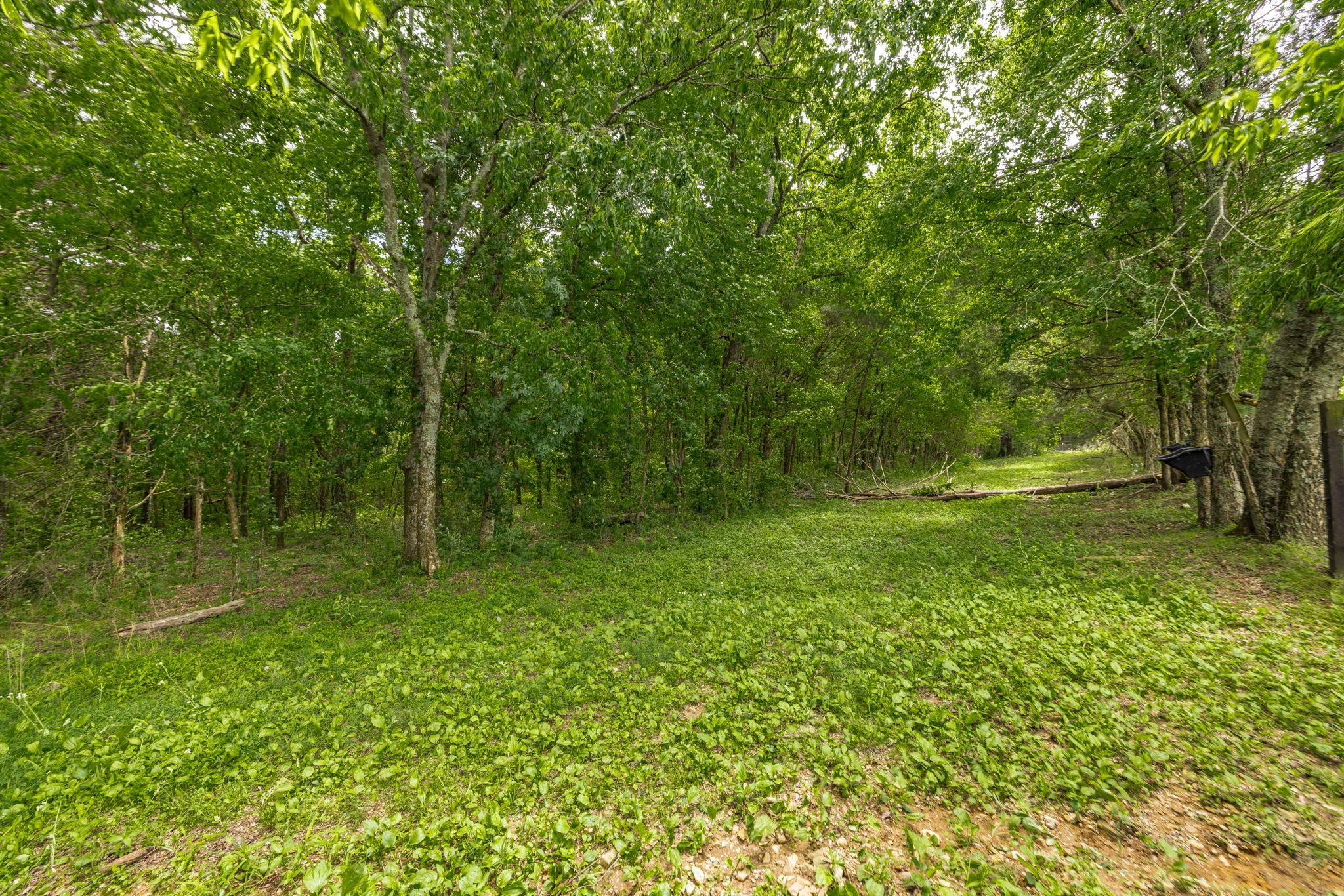 300B Governor Hall Rd