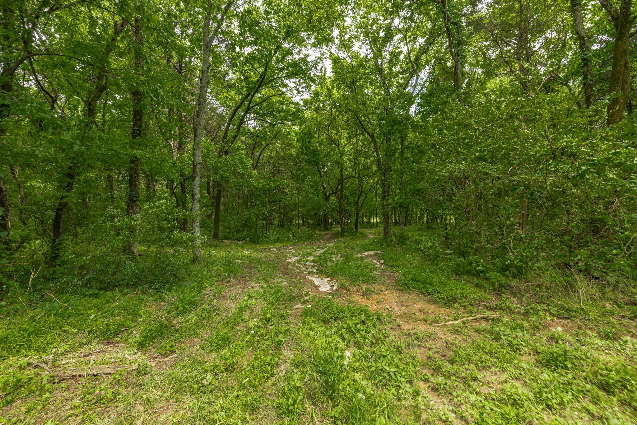 300B Governor Hall Rd