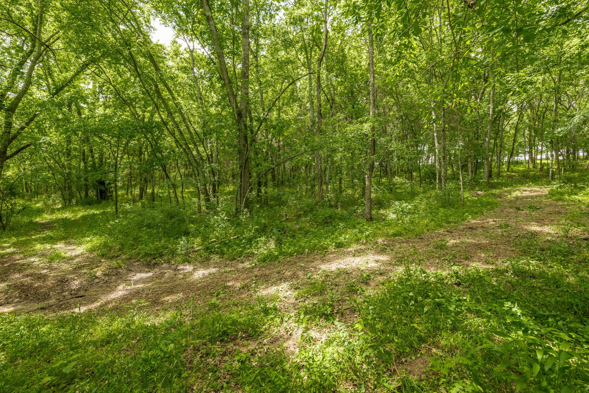 300B Governor Hall Rd