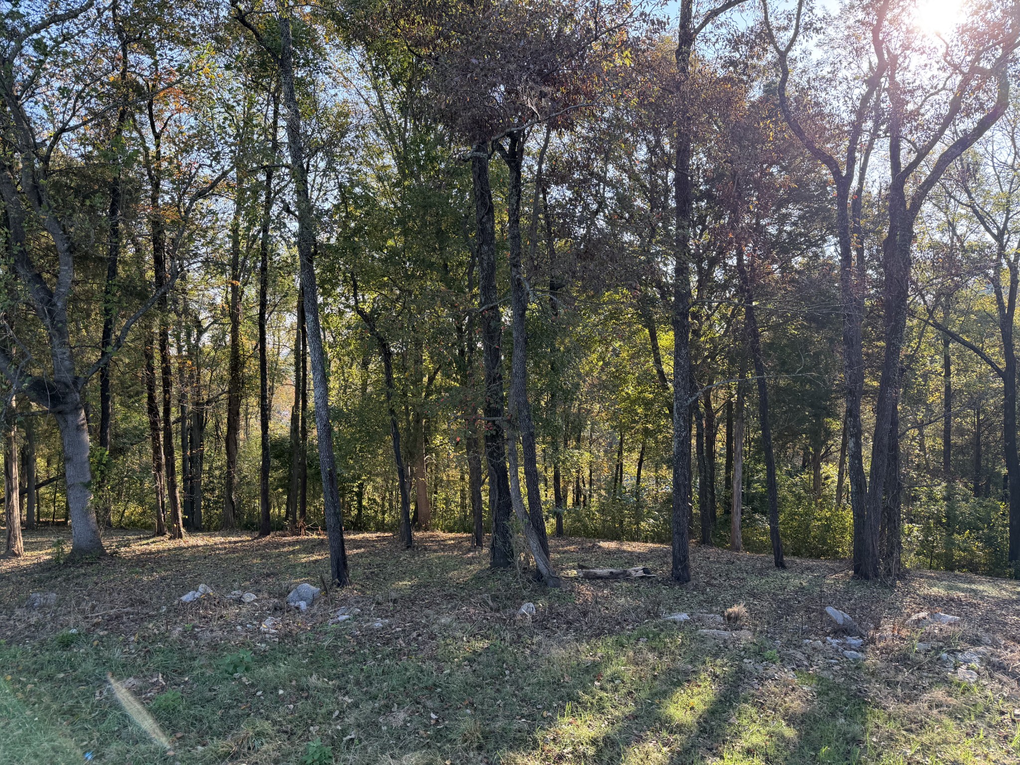 7025 Cairo Bend Rd