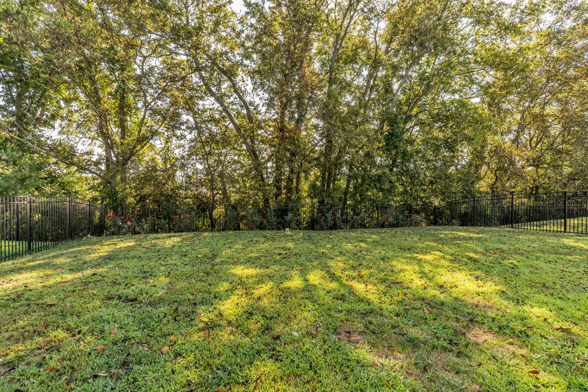 918 Plowson Rd