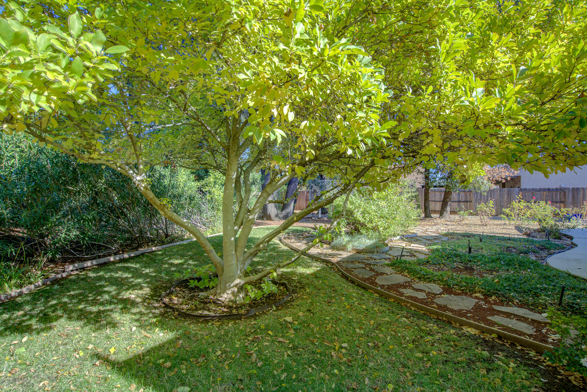 2948 Blue Horizon Drive