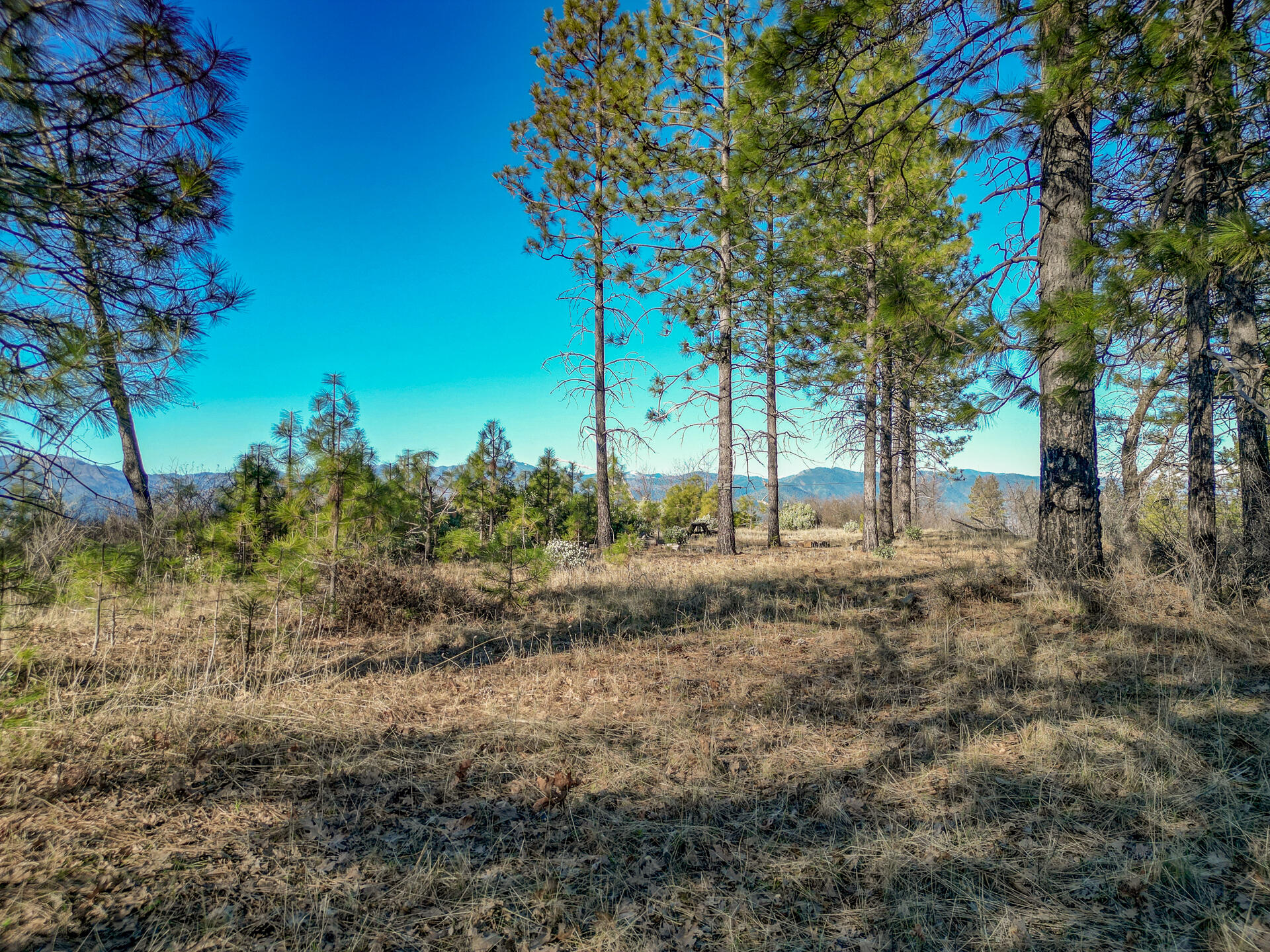 18670 Ycotti Creek Ridge Road
