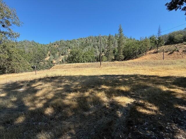 26410 State Highway 3