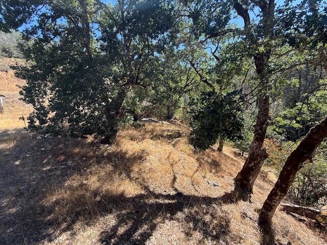 26410 State Highway 3