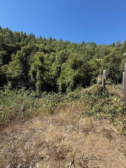 26410 State Highway 3