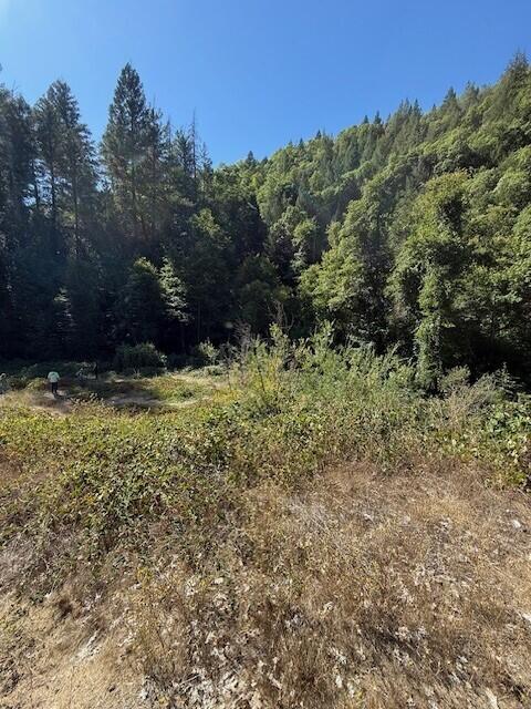 26410 State Highway 3