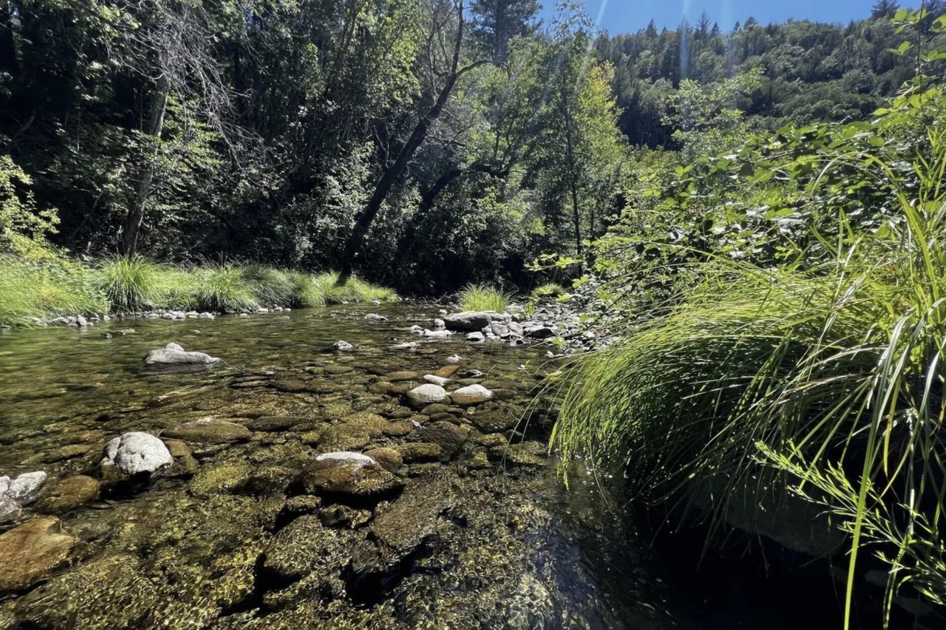 26410 State Highway 3