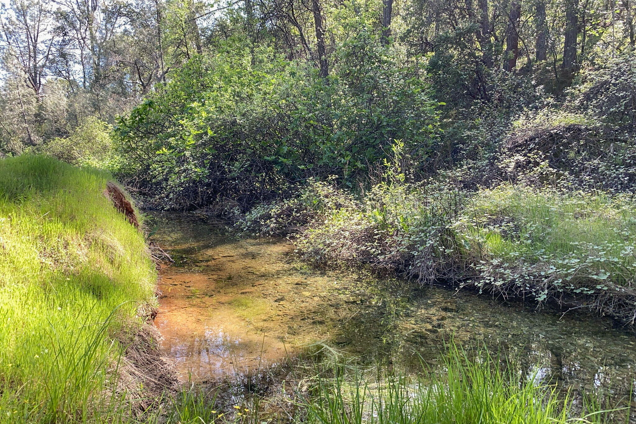 15553 Middletown Park Drive