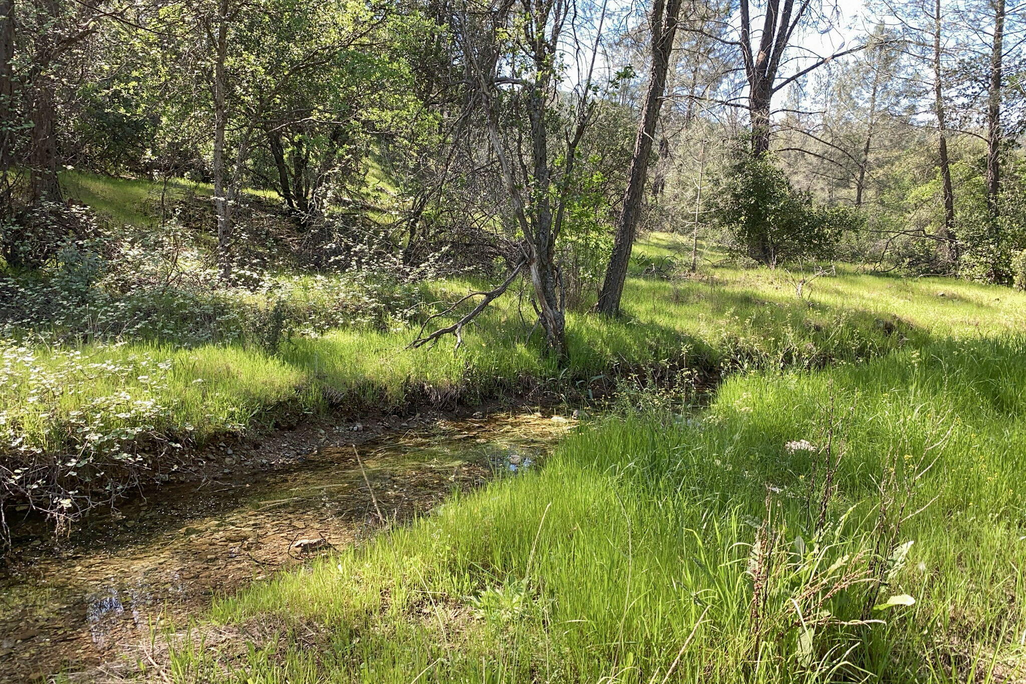 15553 Middletown Park Drive