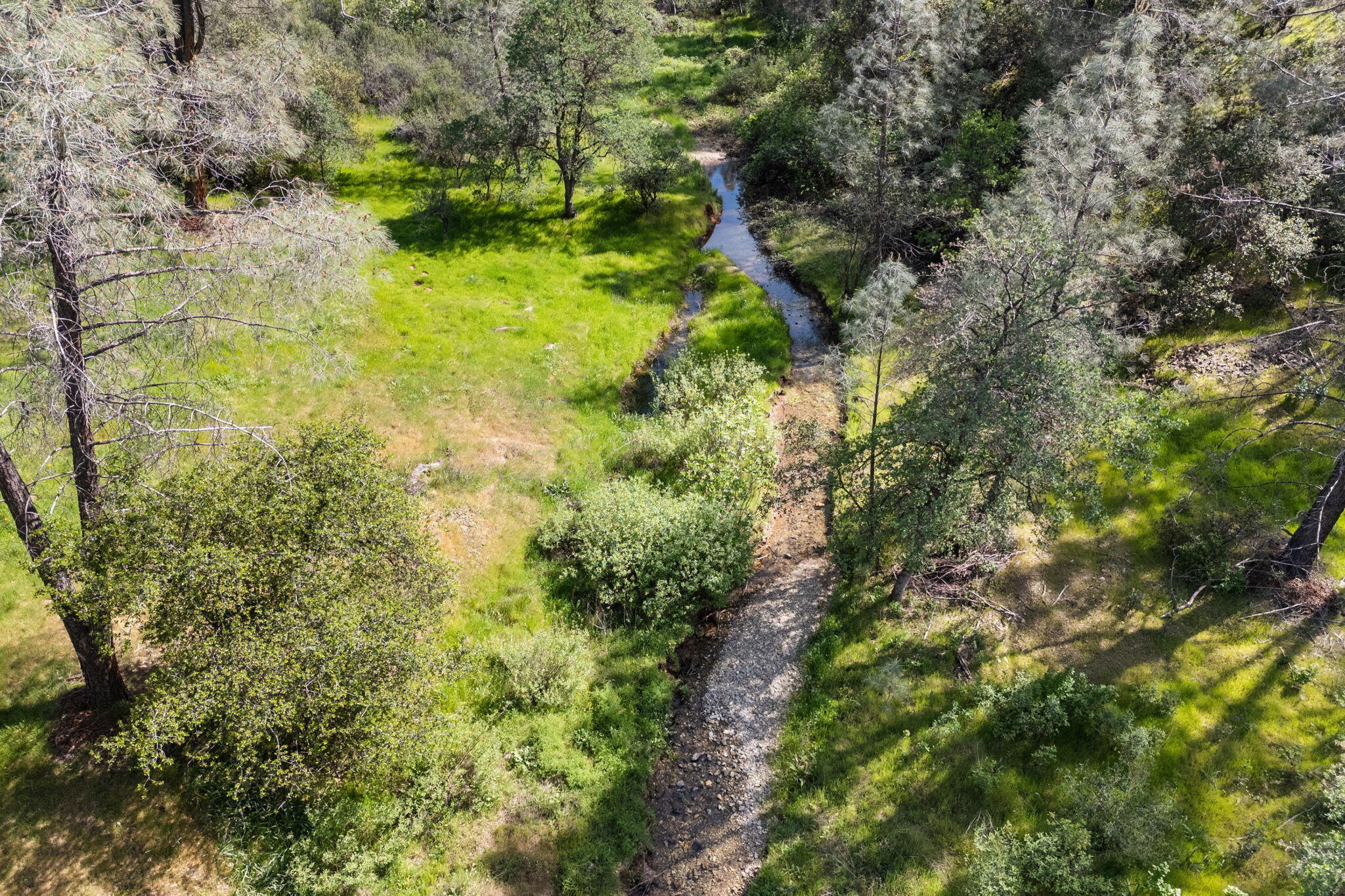 15553 Middletown Park Drive