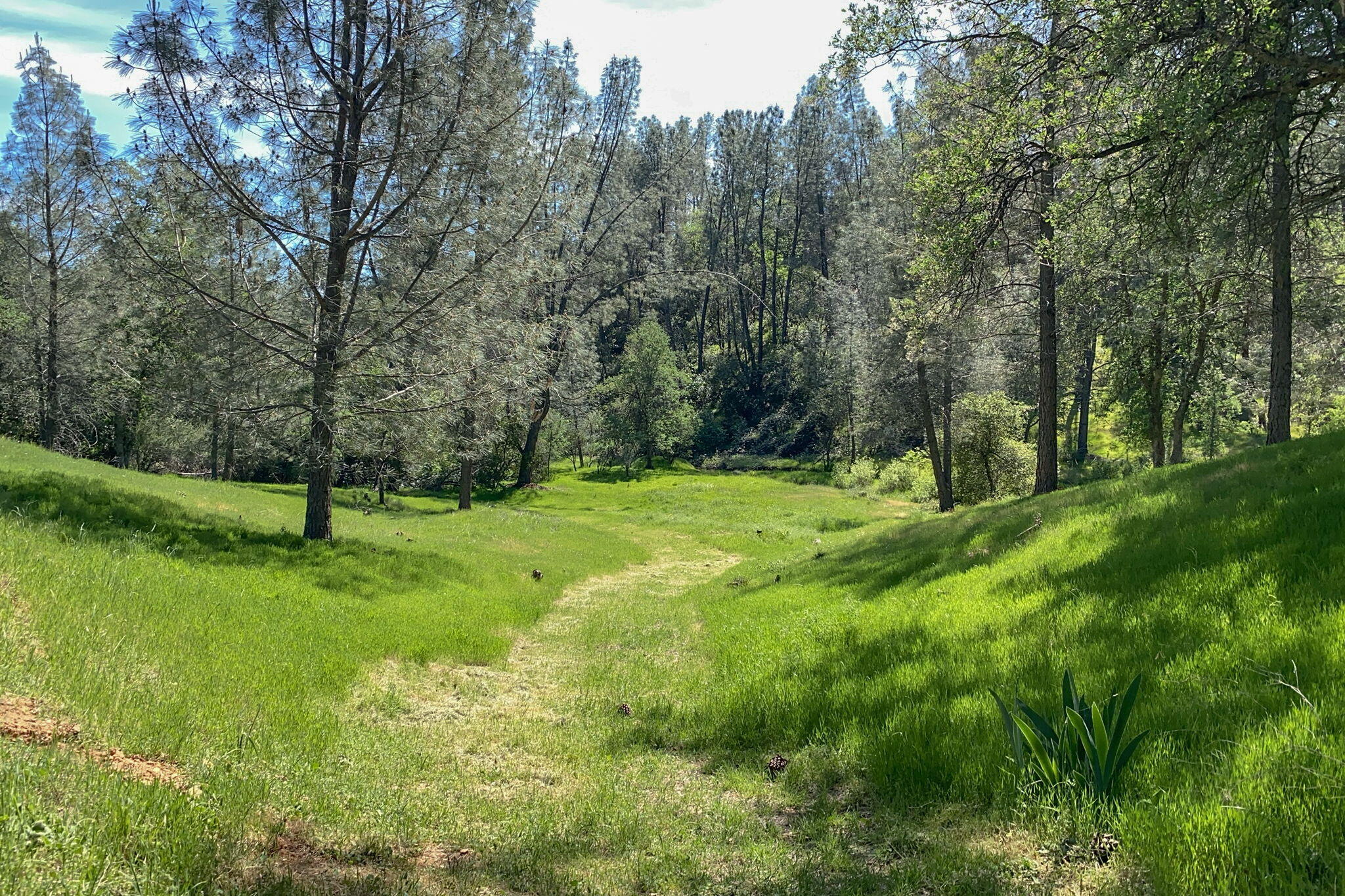 15553 Middletown Park Drive