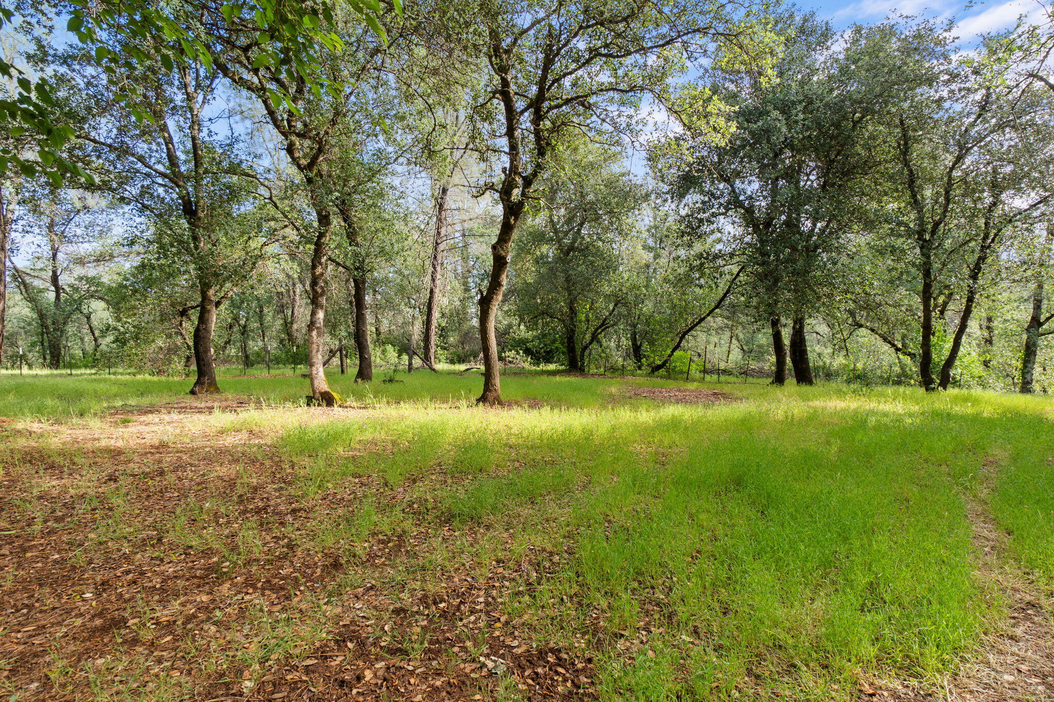 17995 Spanish Canyon Lane